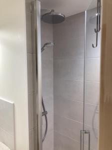 昂热La Maison du Cocher - Chambre indépendante climatisée en Hypercentre - Lit Queen Size的浴室里设有玻璃门淋浴