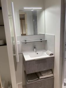 昂热La Maison du Cocher - Chambre indépendante climatisée en Hypercentre - Lit Queen Size的一间带水槽和镜子的浴室