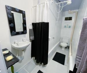 皮帕Tiny House的浴室设有黑色淋浴帘和水槽
