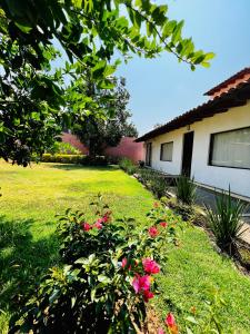 巴耶德布拉沃Casa Lunah Avandaro的一座带粉红色花卉的院子