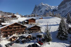 格林德尔瓦尔德阿尔彭霍夫酒店的雪中与山间滑雪小屋