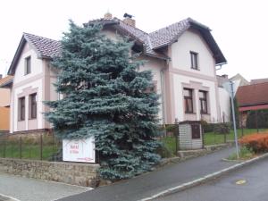 洪波莱茨Apartmán Janoušek的房子前面的大松树