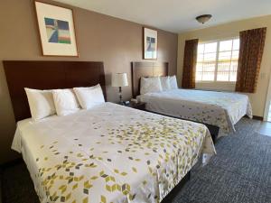 阿罗约格兰德海滩路酒店的酒店客房带两张床和两个窗户
