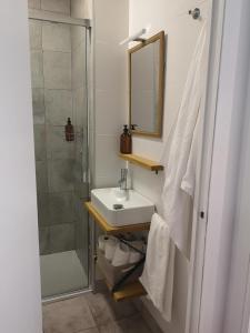 奥莱罗斯Apartamento Castelo de Santa Cruz的浴室配有盥洗盆和带镜子的淋浴