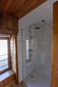 朗戈涅La Cabane du Petit Tour的浴室里设有玻璃门淋浴