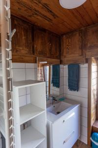 朗戈涅La Cabane du Petit Tour的浴室设有白色水槽和镜子