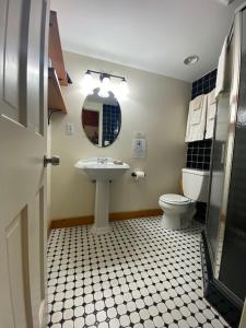 林肯维尔Pine Grove Cottages的一间带水槽和卫生间的浴室