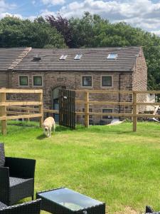 奥尔德姆Unique Barn conversion in Saddleworth的狗站在房子前面的院子中