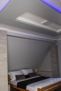 帕利克Feher Akac Guest House的天花板客房内的一张床位