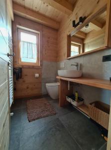 坎波罗索因瓦尔坎纳尔Chalet Camporosso的小屋内的浴室设有盥洗盆和卫生间