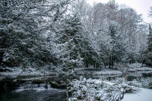 大德里菲尔德HIGHFIELD的一座带池塘和树木的雪覆盖花园