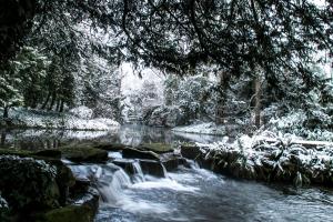 大德里菲尔德HIGHFIELD的树枝上积雪的小溪
