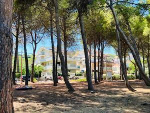 锡尔维玛丽娜Beach apartments Spiaggia Nascosta的树丛,背景是建筑