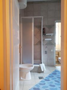 萨拉热窝Ada Apartments的一间带卫生间和淋浴的浴室