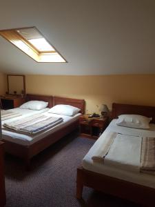萨拉热窝Ada Apartments的酒店客房设有两张床和天窗。