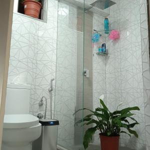 利马DEPARTAMENTO RECAVARREN (SURQUILLO/MIRAFLORES)的带淋浴、卫生间和植物的浴室
