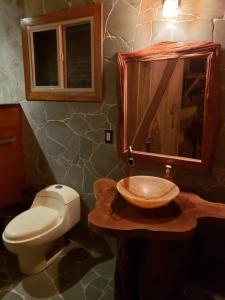 科克莱斯Cabina Harlequin at Margarita Hills Farm的一间带水槽、卫生间和镜子的浴室