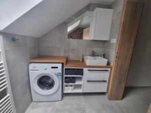 兹雷切Apartment Bajta - Rogla的小厨房配有洗衣机和水槽