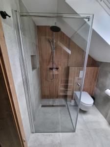 兹雷切Apartment Bajta - Rogla的设有带卫生间的浴室内的淋浴间