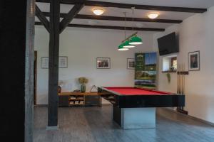 BadínTri Duby Golf Apartments的带台球桌的客房内的乒乓球桌