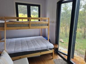 HartleyTiny Home - Bluebird的一间卧室设有双层床和大窗户