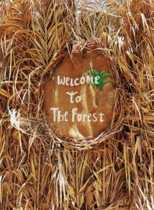 锡瓦Forest Camp Siwa - كامب الغابة的欢迎来到草地上的森林标志