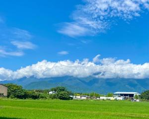 吉安花蓮雲朵朵民宿 電梯 陽台 停車處的一片绿草丛,山地背景