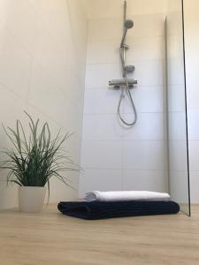 马林费尔德Das Haus am See的浴室里设有淋浴,备有毛巾和植物