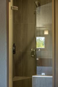 达迪利里昂北部宜必思酒店的浴室里设有玻璃门淋浴
