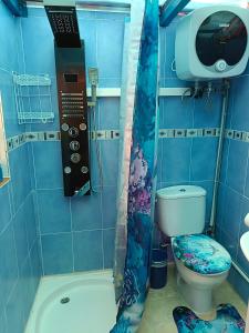 阿古伊梅斯MultiAventura en Agüimes的蓝色的浴室设有卫生间和淋浴。