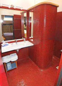 Saint-Priest-sous-AixeLes Cornadis的红色瓷砖浴室设有水槽和镜子