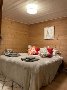 莫尔济讷Chalet Moose的一间卧室配有一张大床和枕头