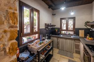 伊格莱西亚斯Il Rifugio dei Minatori的厨房配有柜台和一些窗户。