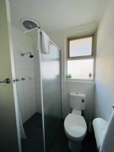 格莱内尔格1BR at Moseley st Glenelg 30的一间带卫生间和玻璃淋浴间的浴室