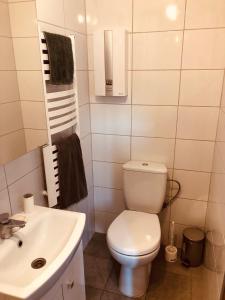 BarkowiceAgroturystyka Mokre的白色的浴室设有卫生间和水槽。