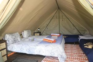 东伦敦Horseshoe Game Reserve的帐篷内一间卧室,配有一张床