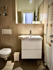 柏林2-Zimmer-Apartment "Monbijou" am Hackeschen Markt的一间带水槽、卫生间和镜子的浴室