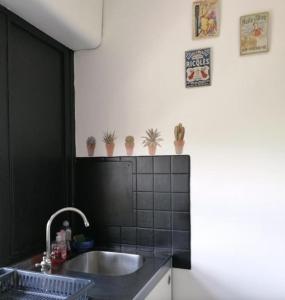蒙彼利埃Appartement Circé - Montpellier Nord-Hopitaux-Facultés的厨房设有水槽和墙上的盆栽植物