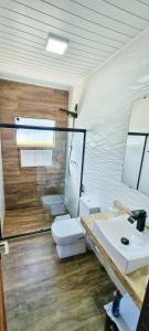 新弗里堡Chácara Brisa Do Rio的一间带卫生间、水槽和镜子的浴室