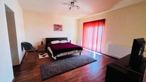 蒂米什瓦拉Casa Vio的一间卧室配有床和红色窗帘