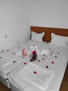 内塞伯尔Dreams Family Hotel的一张红色的白色床