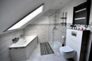 MiejsceApartament u Joli的浴室配有盥洗盆、卫生间和淋浴。