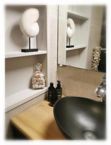 拉纳肯Bed & Bokes aan de Maaskant的浴室设有黑色水槽和镜子
