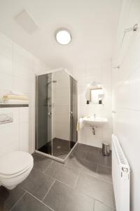 Reichenberg斯伯格城堡山膳食公寓酒店的带淋浴、卫生间和盥洗盆的浴室