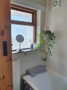 特里迪格Wales' Highest Village - The Chartist Cottage - Trefil的一间有窗户的浴室和架子上的植物