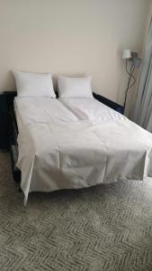 布朗New Wolf的一张配有白色床单和枕头的大床