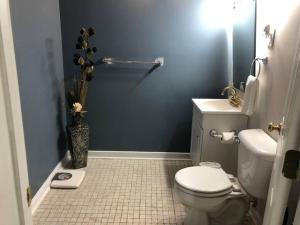 纽马基特Spacious Unit with Mountain View的浴室设有白色卫生间和蓝色的墙壁。