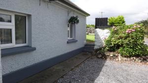 斯莱戈Sligo Wild Atlantic Cottage的一座带窗户和花丛的房子