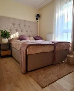 波兹南Malta Premium Apartment, free parking, self check-in 24h的一间卧室配有一张带紫色枕头的床和窗户。