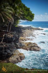 帕霍阿Open Gate Hostel Hawaii的棕榈树和海洋的岩石海岸